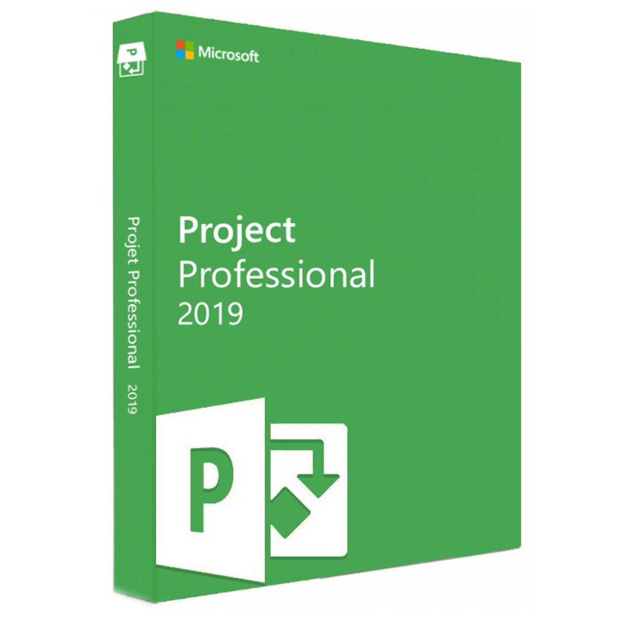 Project 2019 Professional 