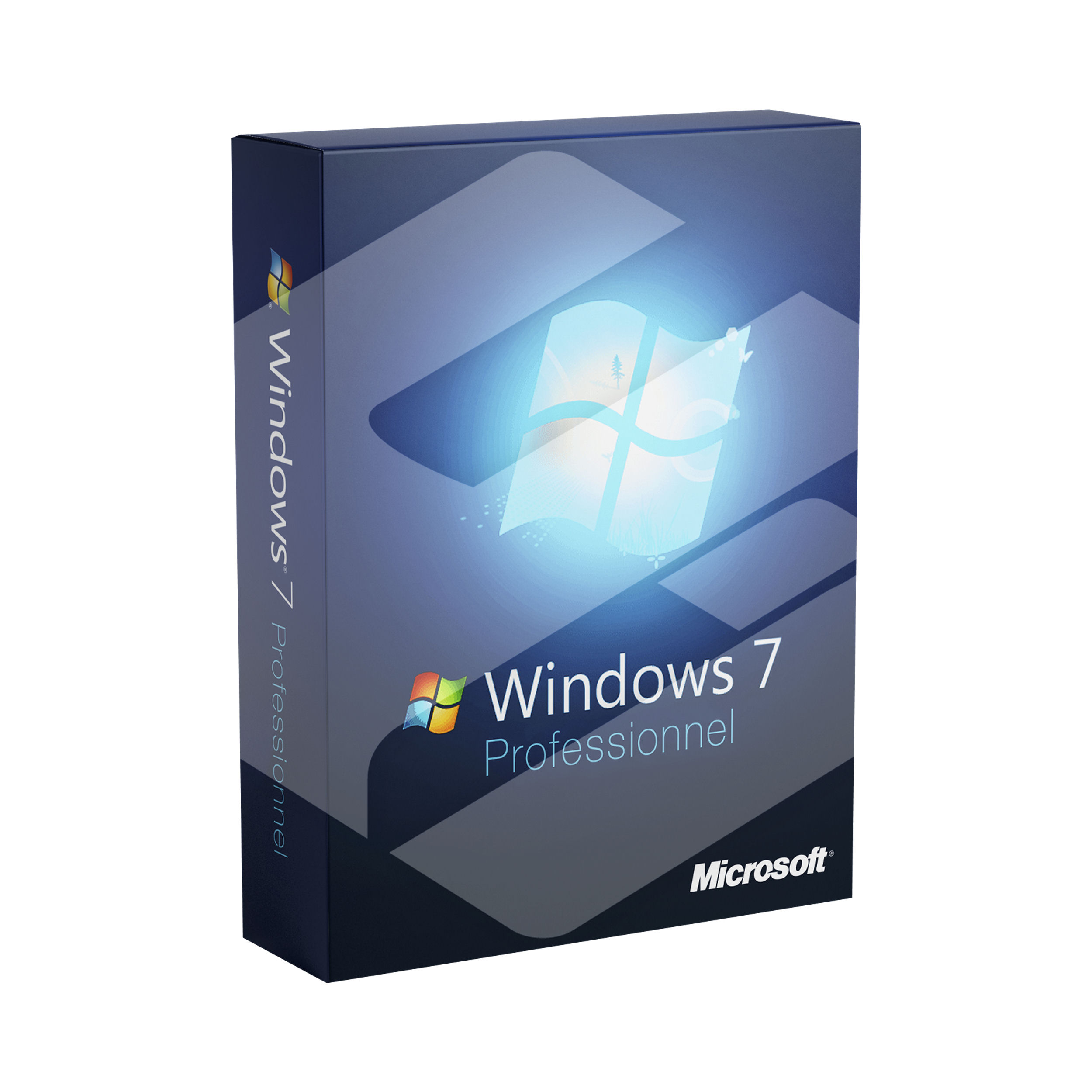 Microsoft Windows 7 Professionnel